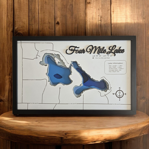 Four Mile Lake Bathymetric Portrait